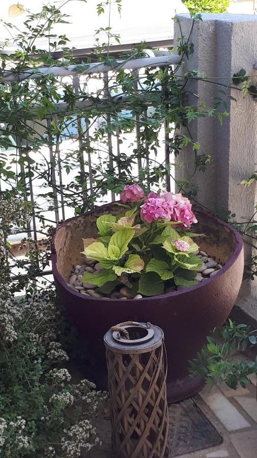 Apartamento Kate-mari House Skala (Kefalonia)