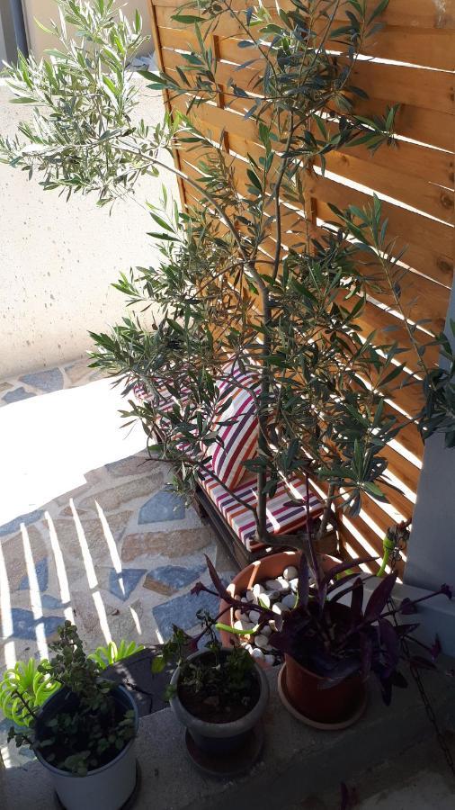 Apartment Kate-mari House Skala (Kefalonia)